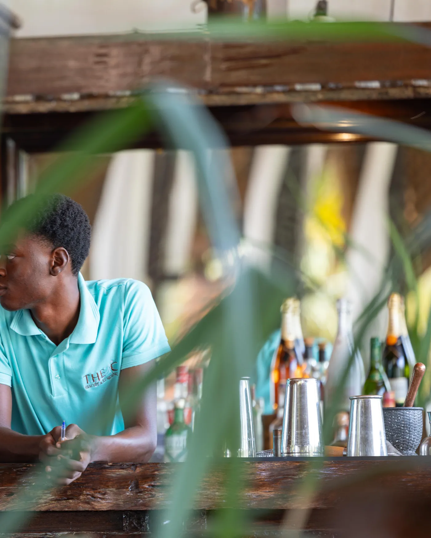 The bar being worked, bottles lined up along the counter