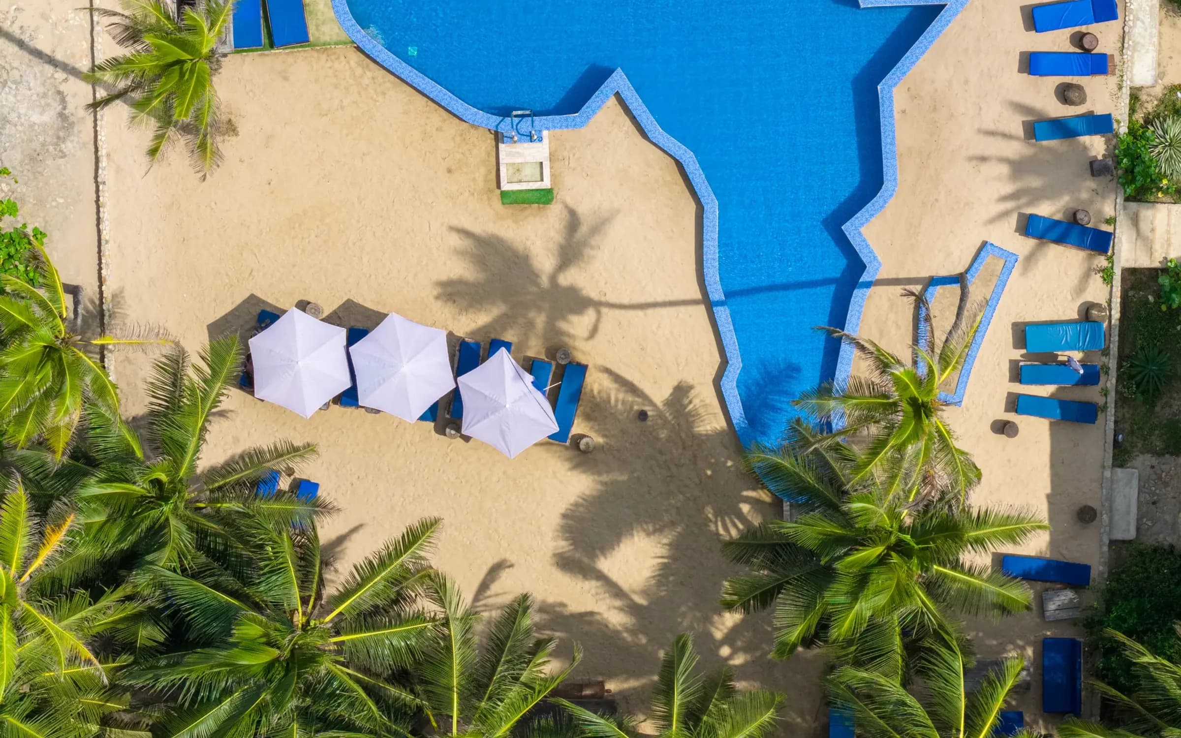 The Africa-shaped pool from directly above, loungers along its edge